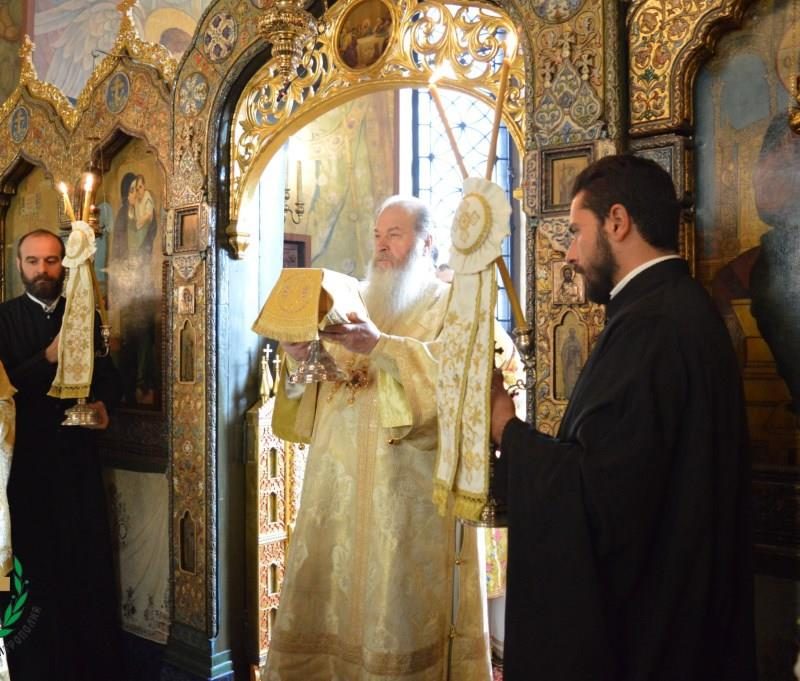 День памяти святителя Серафима, архиепископа Богучарского (48)