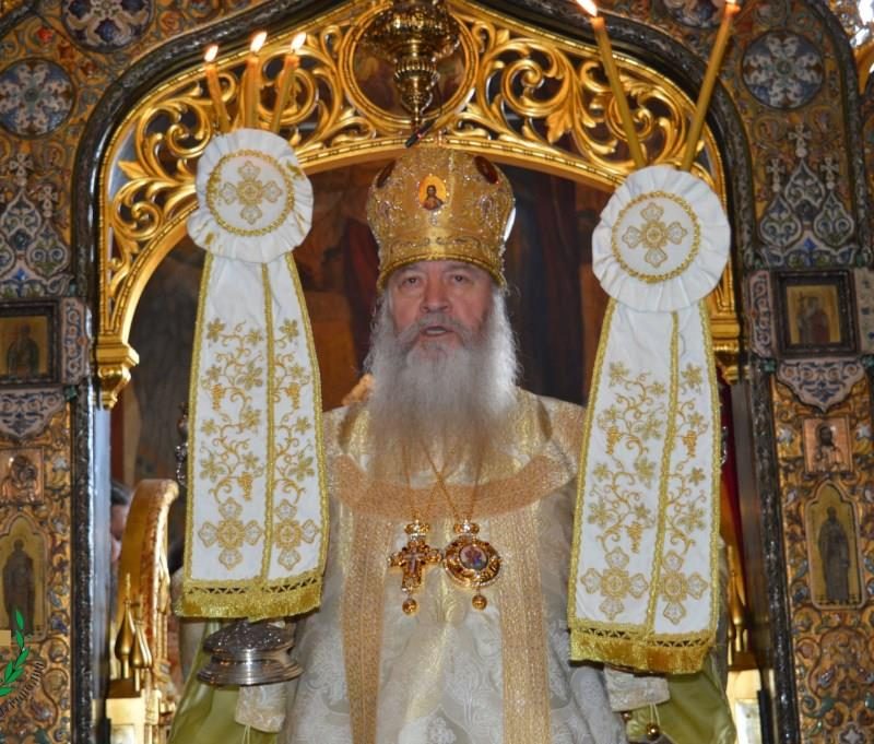 День памяти святителя Серафима, архиепископа Богучарского (58)