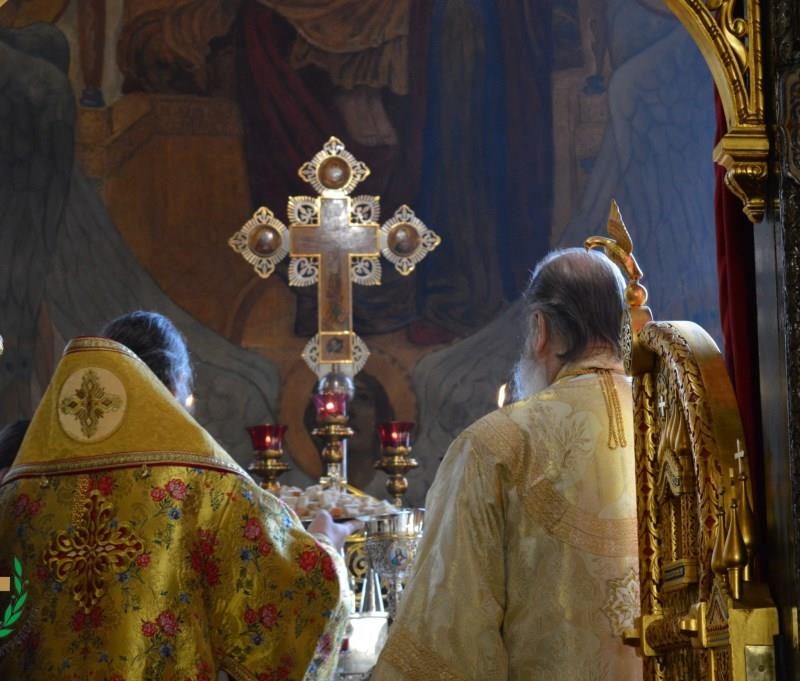 День памяти святителя Серафима, архиепископа Богучарского (61)