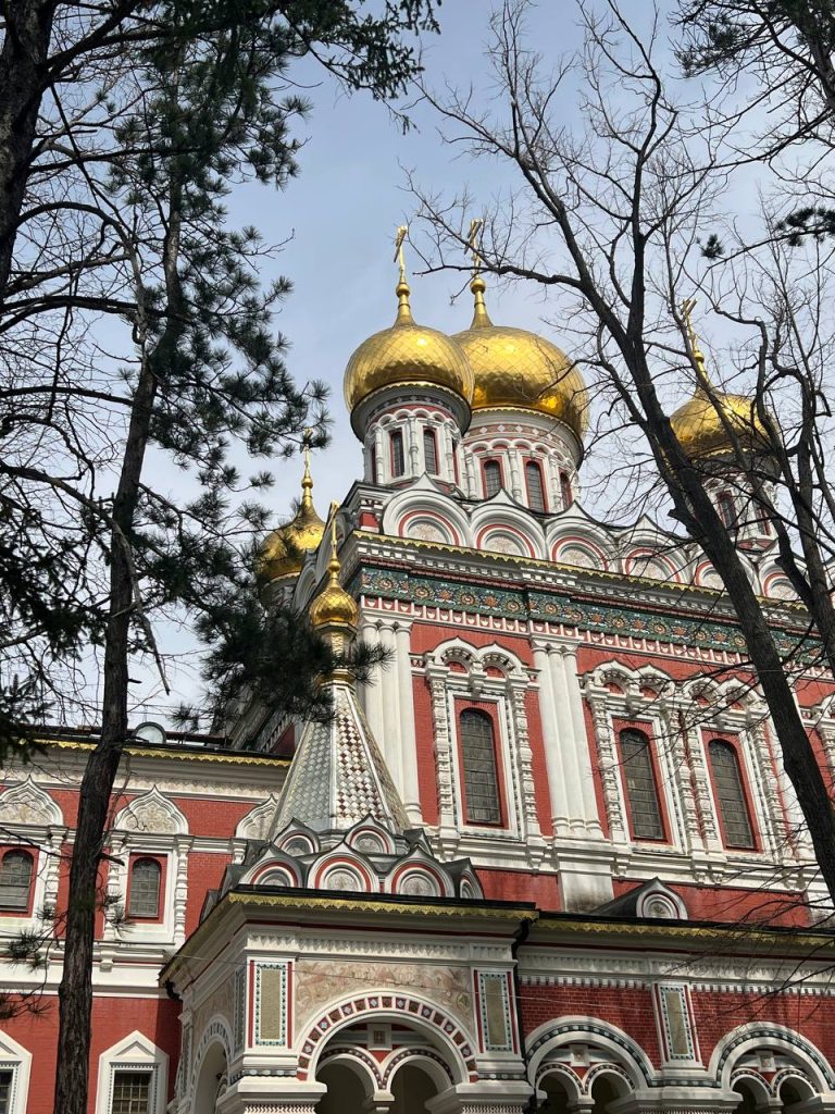 IMG_20260323_110537_099